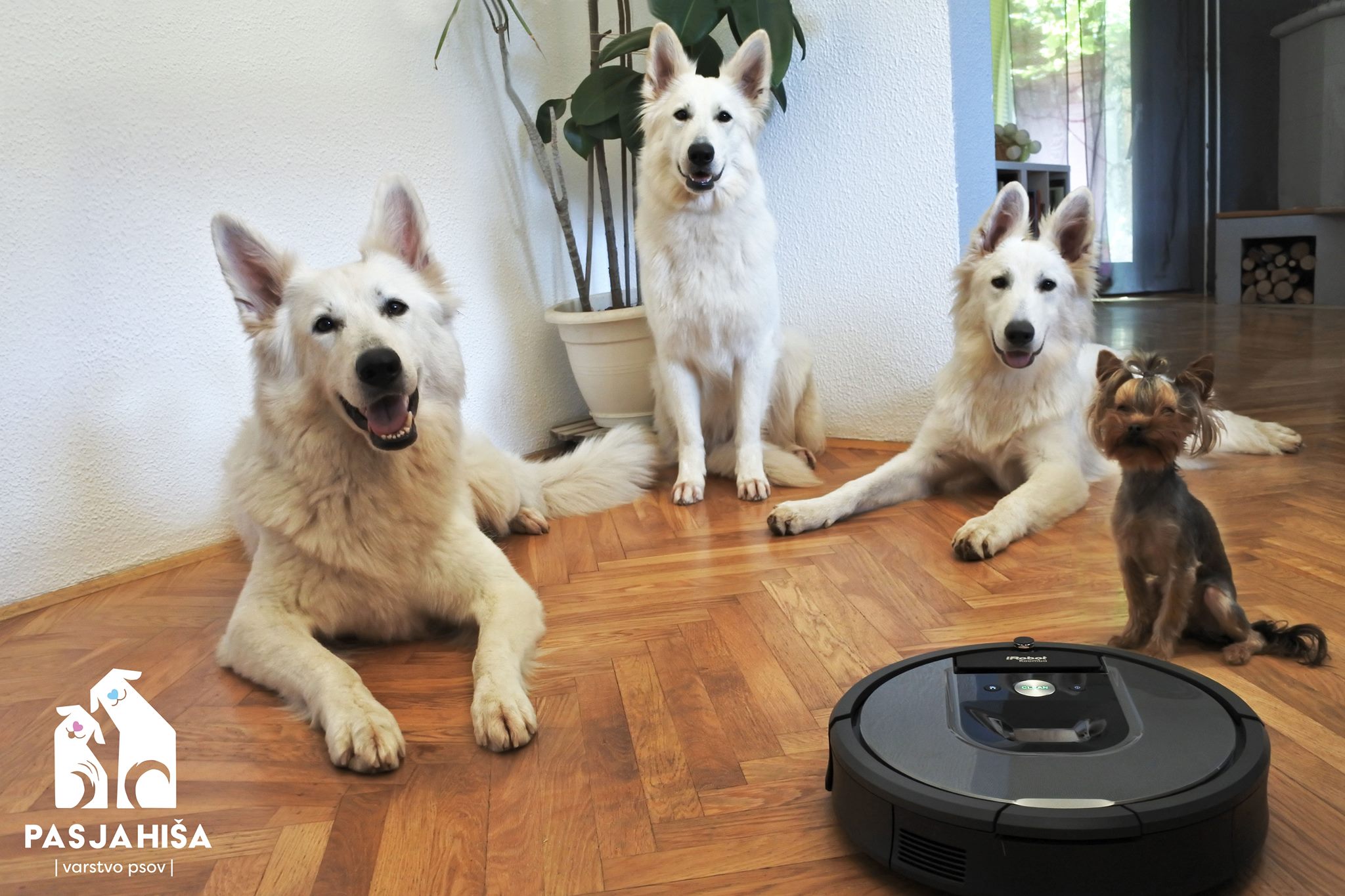 iRobot Roomba – our best friend.!