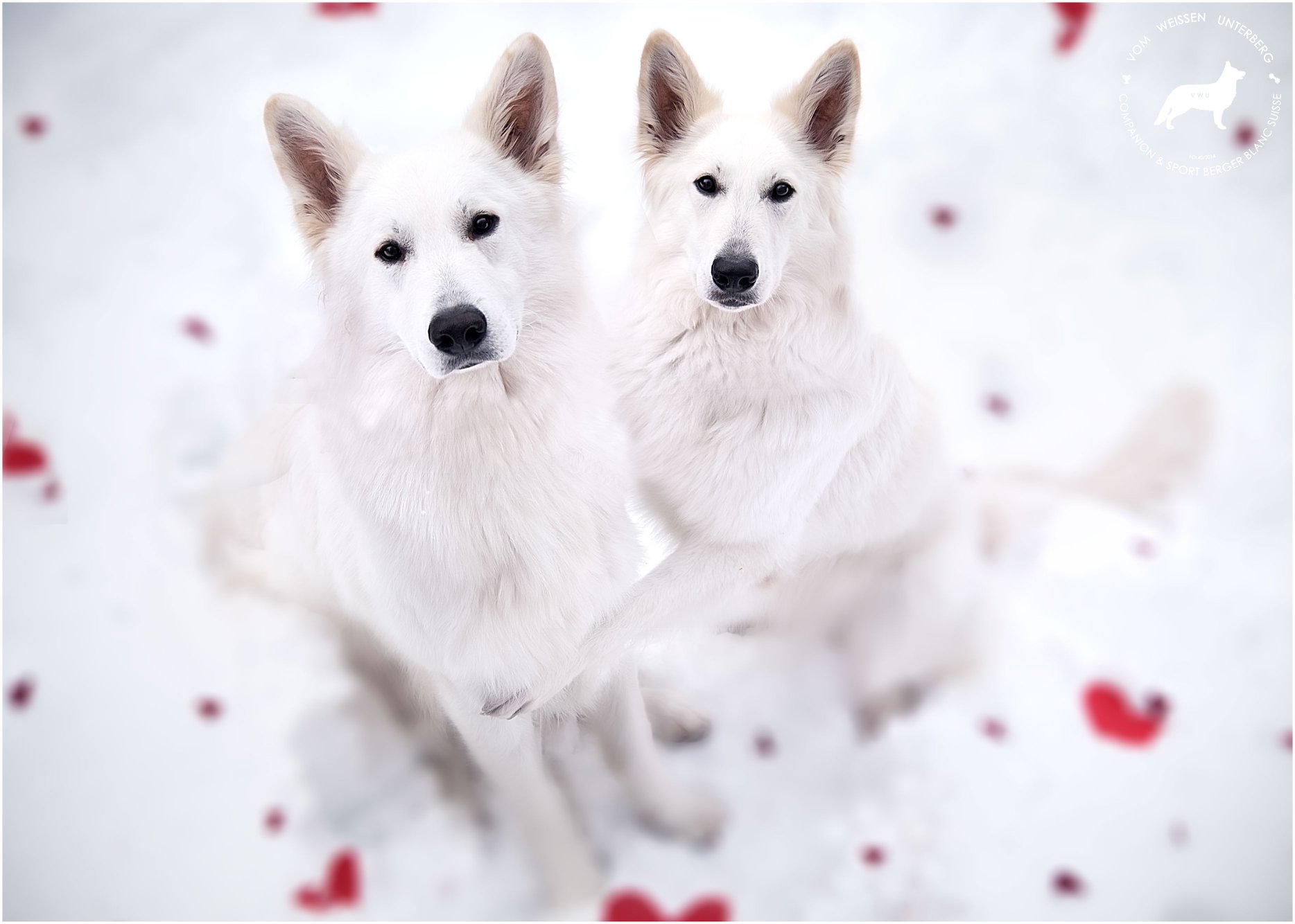 Happy Valentine’s Day! <3