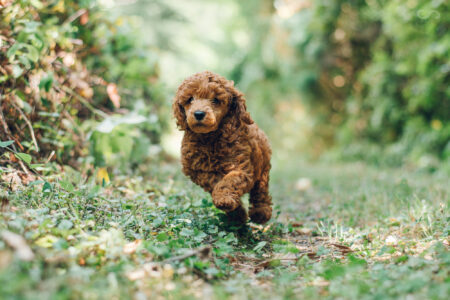 Ready to explore the world