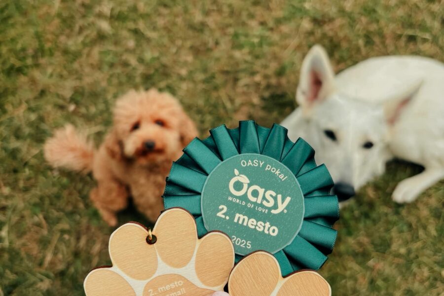 1st and 2nd place for Iota & Alf yesterday!