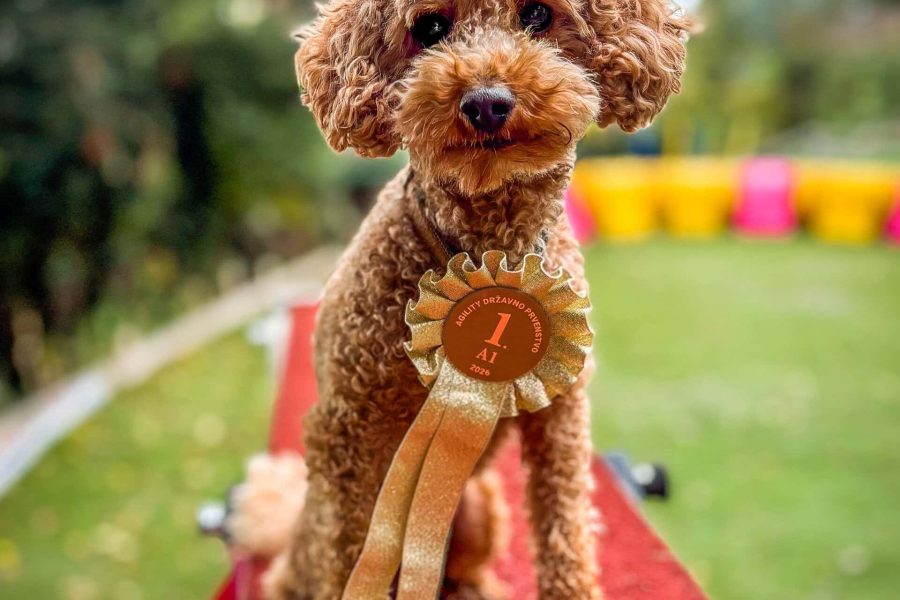 National Winner in A1 Small